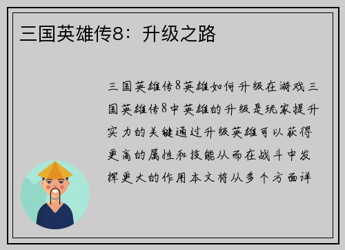 三国英雄传8：升级之路